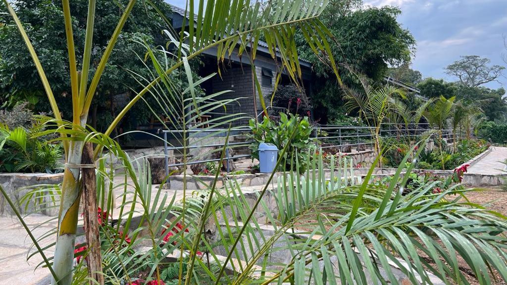 Gipir And Labongo Safari Lodge Ltd Pakwach Exterior foto